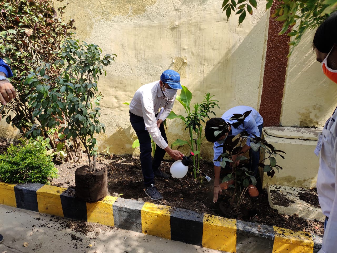 World Environment Day – Plant Saplings 3