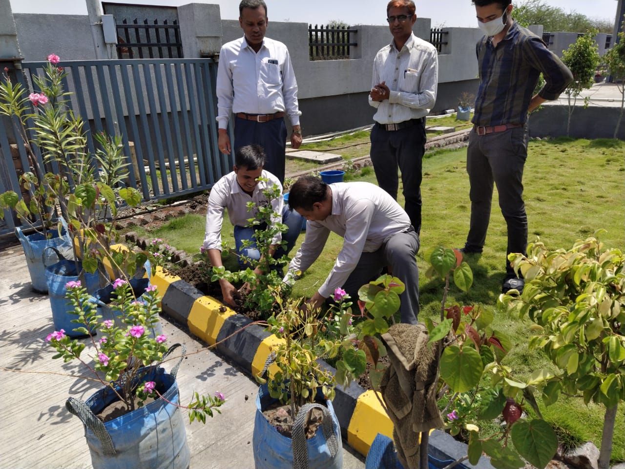 World Environment Day – Plant Saplings 6