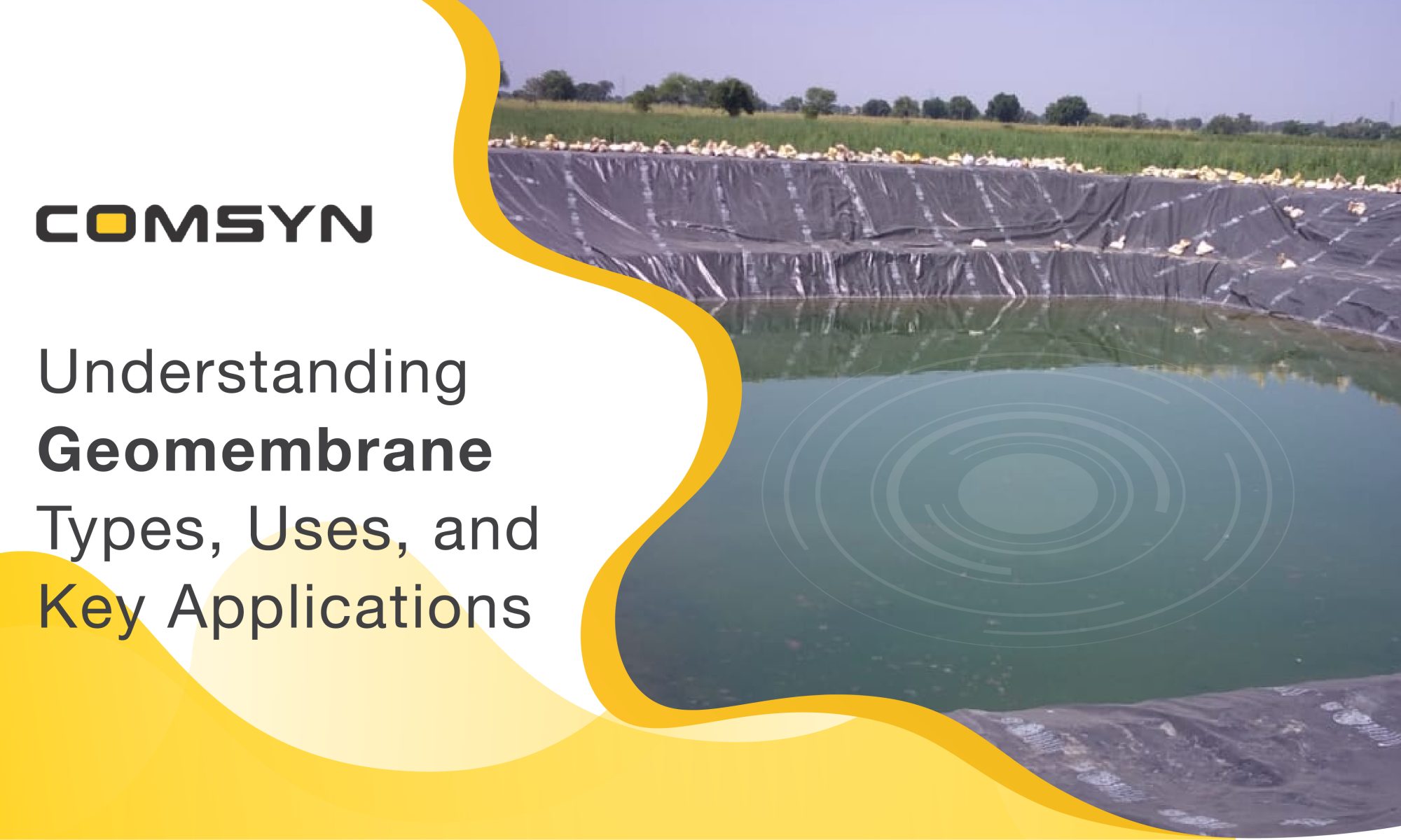 types of geomembrance