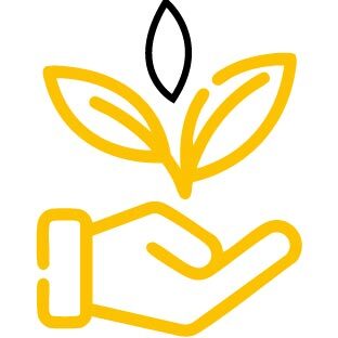 about us section icons 4